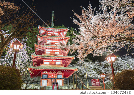 荒倉山淺間公園春夜景：燈光璀璨的忠實塔與櫻花盛開 [山梨縣藤吉田市] 134672488