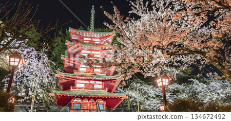 Spring night view of Arakurayama Sengen Park: Illuminated Chureito Pagoda and cherry blossoms [Fujiyoshida City, Yamanashi Prefecture] 134672492