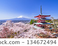 從展望台可以看到春天的新倉山淺間公園的壯麗景色－富士山、忠靈塔和盛開的櫻花【山梨郡富士吉田市】 134672494
