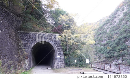 Waste wire and tunnel Waste wire and tunnel 134672860