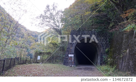 Waste wire and tunnel 134672872