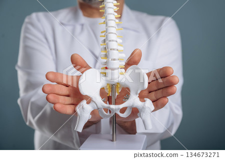 Doctor is with spine model. Close up view of senior man against background Doctor is with spine model. Close up view of senior man against background 134673271