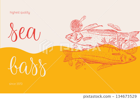 Sea bass culinary poster with hand drawn fish and caviar illustration 134673529
