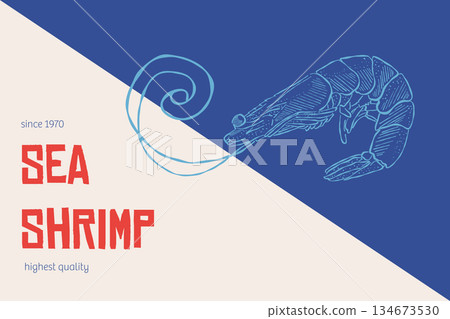 Sea shrimp vintage poster with hand drawn crustacean illustration 134673530