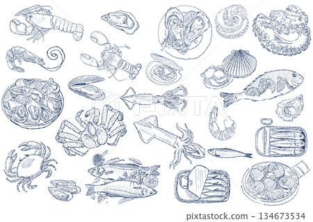 Hand drawn seafood set with fish and shellfish in vintage blue line art 134673534