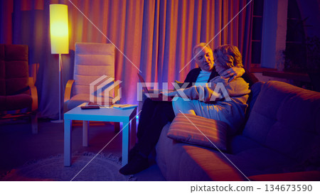 Senior woman using voice assistant on laptop at home. Senior woman using voice assistant on laptop at home. 134673590