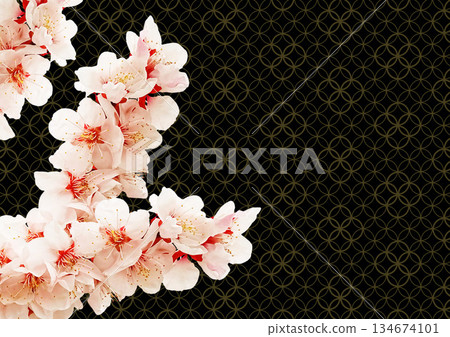 Japanese pattern background: Plum 134674101