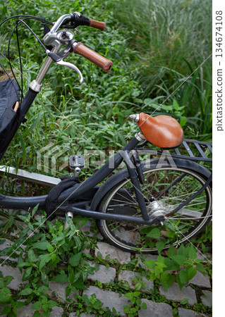 Eco-friendly transportation in a city park 134674108