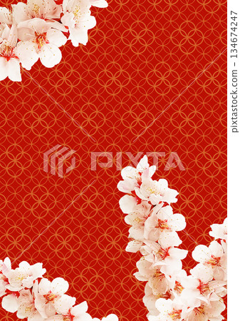 日式圖案背景：梅花 134674247