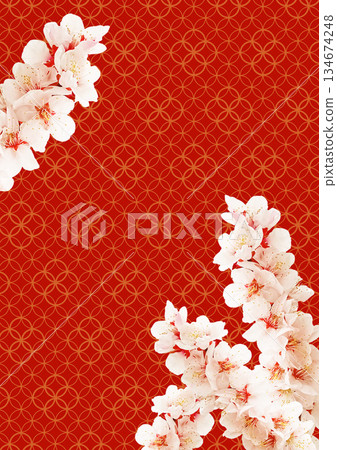 日式圖案背景：梅花 134674248