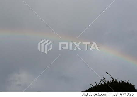 Rainbow over the sky after the rain Rainbow over the sky after the rain 134674359