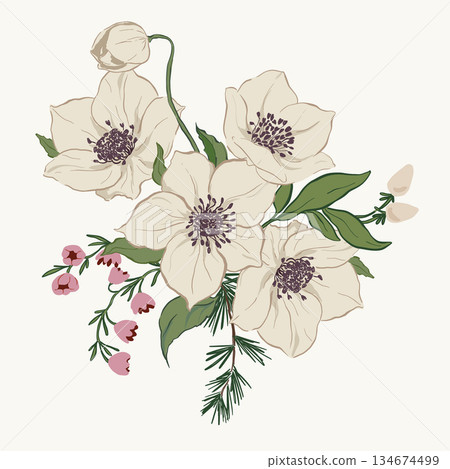 Vector bouquet of white anemone flowers, berries and leaves. Hand-drawn vintage collection isolated on white background. Illustration for design, print, fabric or background. Vector bouquet of white anemone flowers, berries and leaves. Hand-drawn vintage collection isolated on white background. Illustration for design, print, fabric or background. 134674499