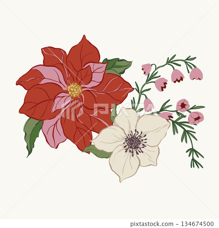 Vector Christmas floral card of poinsettia, anemone, leaves and berries. Hand-drawn vintage poster isolated on white background. Illustration for design, print, fabric or background. Vector Christmas floral card of poinsettia, anemone, leaves and berries. Hand-drawn vintage poster isolated on white background. Illustration for design, print, fabric or background. 134674500