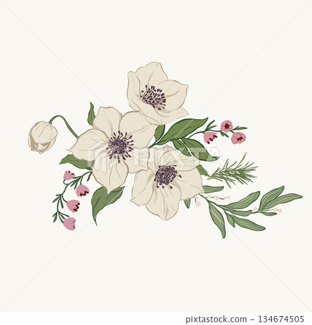 Vector bouquet of white anemone flowers, leaves and berries. Hand-drawn vintage collection isolated on white background. Illustration for design, print, fabric or background. Vector bouquet of white anemone flowers, leaves and berries. Hand-drawn vintage collection isolated on white background. Illustration for design, print, fabric or background. 134674505