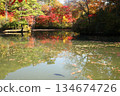 Autumn leaves reflected on the water 134674726
