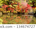 Autumn leaves reflected in a pond 134674727