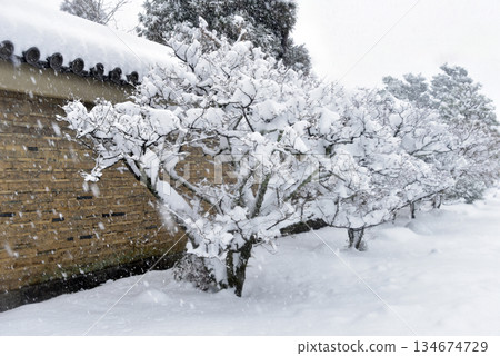 Tenryu-ji Temple of Snow Tenryu-ji Temple of Snow 134674729