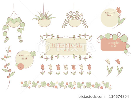 This is a botanical frame set in gentle colors, featuring ornamental plants and flowers. 134674894