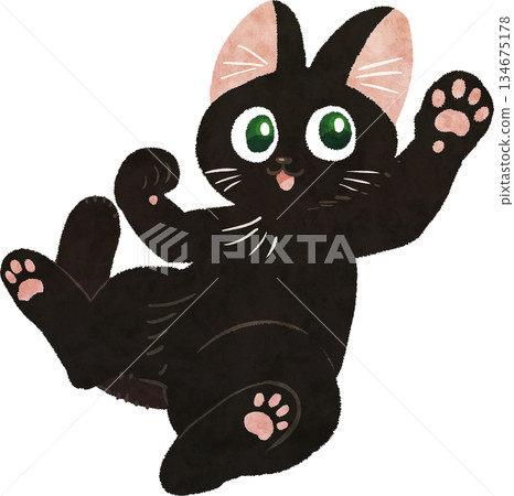 Playful Cat Playful Cat 134675178