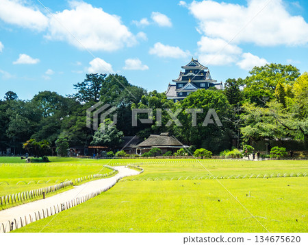 Summer in Okayama: Refreshing scenery of Korakuen Garden, grassy area and Okayama Castle Summer in Okayama: Refreshing scenery of Korakuen Garden, grassy area and Okayama Castle 134675620
