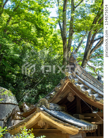Summer in Okayama: Refreshing scenery at Korakuen Garden, with its majestic tiled roofs that have stood the test of time. Summer in Okayama: Refreshing scenery at Korakuen Garden, with its majestic tiled roofs that have stood the test of time. 134675654