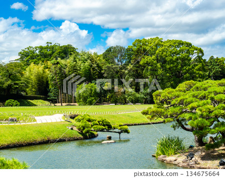 Summer in Okayama: Refreshing scenery of Korakuen Garden, pond and pine trees 134675664