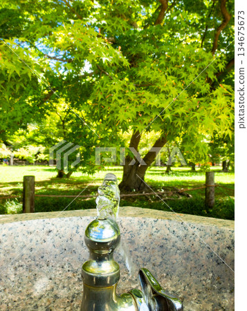 岡山的夏天：後樂園花園的清涼景色，樹蔭下的飲水噴泉 134675673