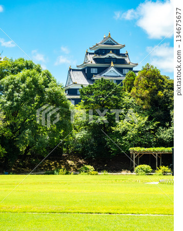 Summer in Okayama: Refreshing scenery of Korakuen Garden, the lawn area and Okayama Castle 134675677