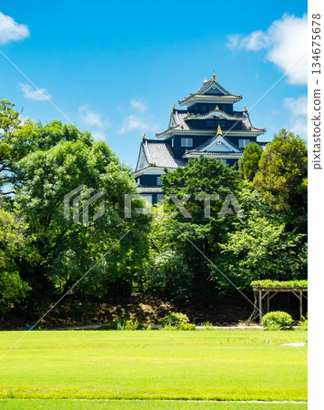Summer in Okayama: Refreshing scenery of Korakuen Garden, the lawn area and Okayama Castle 134675678