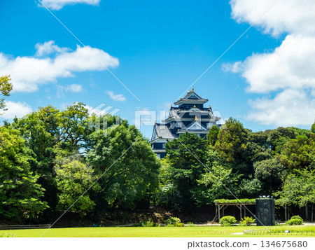 岡山的夏天：後樂園、草坪和岡山城的清爽景色 134675680
