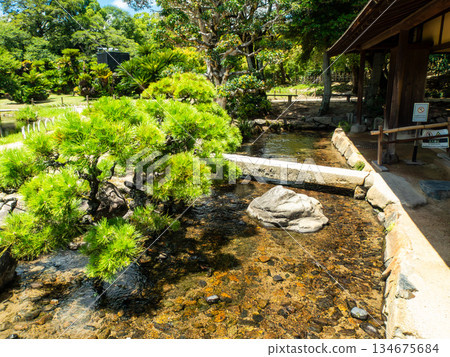 Summer in Okayama: The refreshing scenery of Korakuen Garden Summer in Okayama: The refreshing scenery of Korakuen Garden 134675684