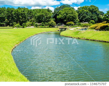 岡山的夏天：後樂園花園、草坪和池塘的清爽景色 134675707