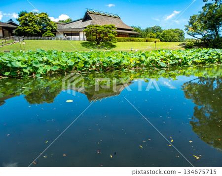岡山的夏天:後樂園的清爽景色。從花場池眺望圓陽亭。 岡山的夏天:後樂園的清爽景色。從花場池眺望圓陽亭。 134675715