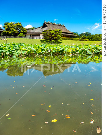 岡山的夏天:後樂園的清爽景色。從花場池眺望圓陽亭。 岡山的夏天:後樂園的清爽景色。從花場池眺望圓陽亭。 134675716