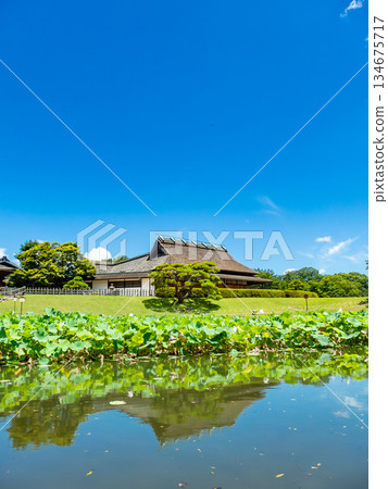 岡山的夏天:後樂園的清爽景色。從花場池眺望圓陽亭。 岡山的夏天:後樂園的清爽景色。從花場池眺望圓陽亭。 134675717