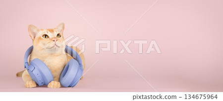 A ginger cat with wireless headphones 134675964