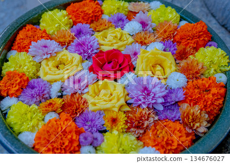 Wagokoro 待客之花 chozubachi 134676027