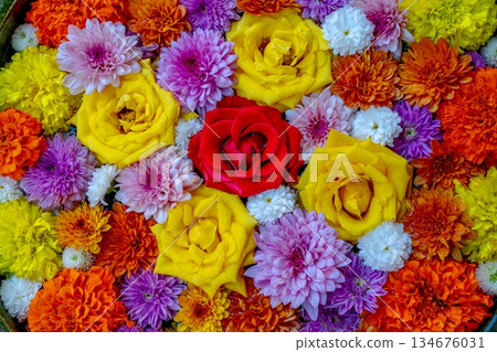 Wagokoro Hospitality with flower chozubachi Wagokoro Hospitality with flower chozubachi 134676031