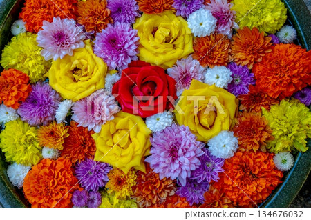 Wagokoro 待客之花 chozubachi 134676032