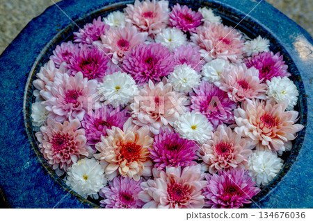 Wagokoro Hospitality with flower chozubachi Wagokoro Hospitality with flower chozubachi 134676036
