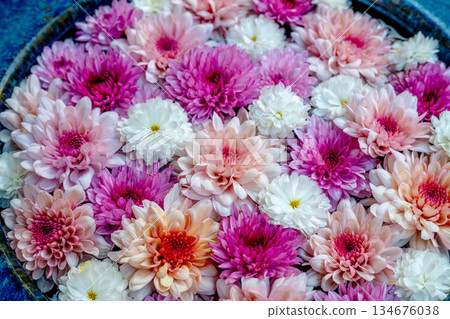 Wagokoro 待客之花 chozubachi 134676038