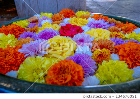 Wagokoro Hospitality with flower chozubachi Wagokoro Hospitality with flower chozubachi 134676051