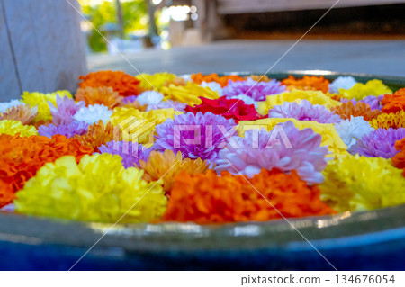 Wagokoro 待客之花 chozubachi 134676054