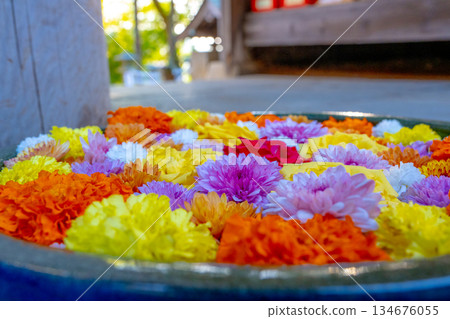 Wagokoro Hospitality with flower chozubachi Wagokoro Hospitality with flower chozubachi 134676055