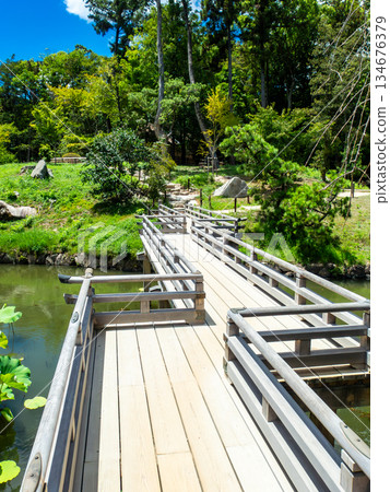 岡山的夏天：後樂園的清爽景色，橫跨花場池的永勝橋 134676379