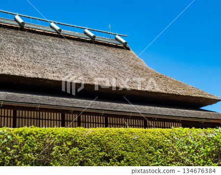 Summer in Okayama: Refreshing scenery of Korakuen Garden, blue skies and Enyotei Summer in Okayama: Refreshing scenery of Korakuen Garden, blue skies and Enyotei 134676384