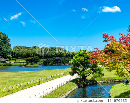 岡山的夏天：後樂園、澤之池和花園小徑的清爽景色 134676385