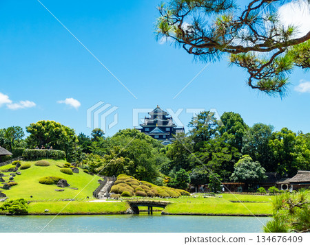 Summer in Okayama: Refreshing scenery of Korakuen Garden, Okayama Castle seen across Sawanoike Pond 134676409