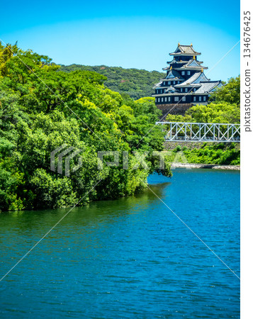 Okayama in summer: Okayama Castle seen from the bank of the Asahikawa River Okayama in summer: Okayama Castle seen from the bank of the Asahikawa River 134676425