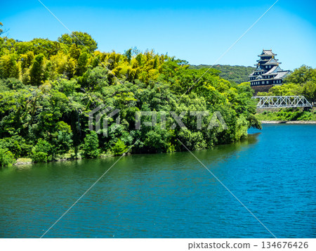 Okayama in summer: Okayama Castle seen from the bank of the Asahikawa River Okayama in summer: Okayama Castle seen from the bank of the Asahikawa River 134676426